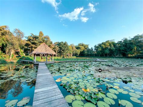  Xeo Quyt Coconut Forest: A Serene Escape into Vietnam's Natural Splendor!